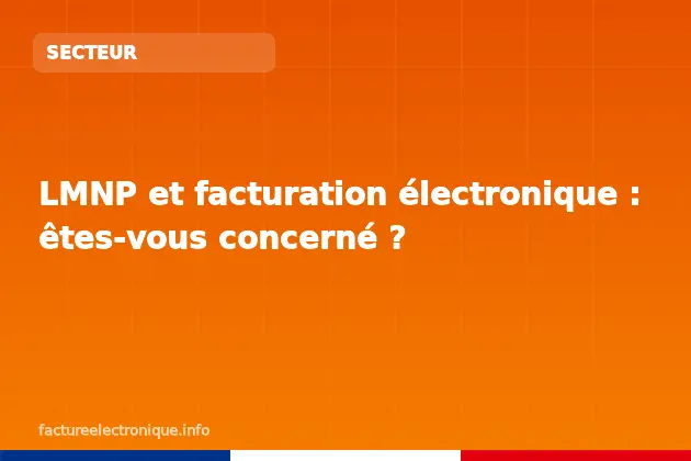 LMNP et facturation électronique : êtes-vous concerné ?